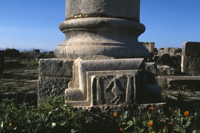Kolombasis en architectonisch element met een ooievaar door Roman
